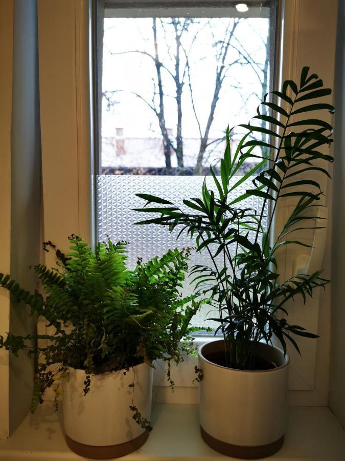 Angela Apartment Zagreb Luaran gambar